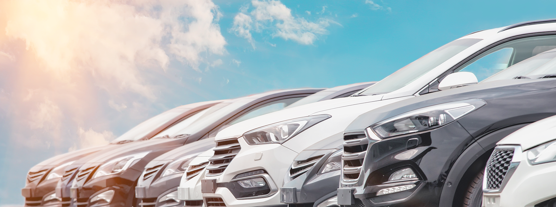 並べられた自動車